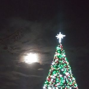 Meet your Posher, Bobbi